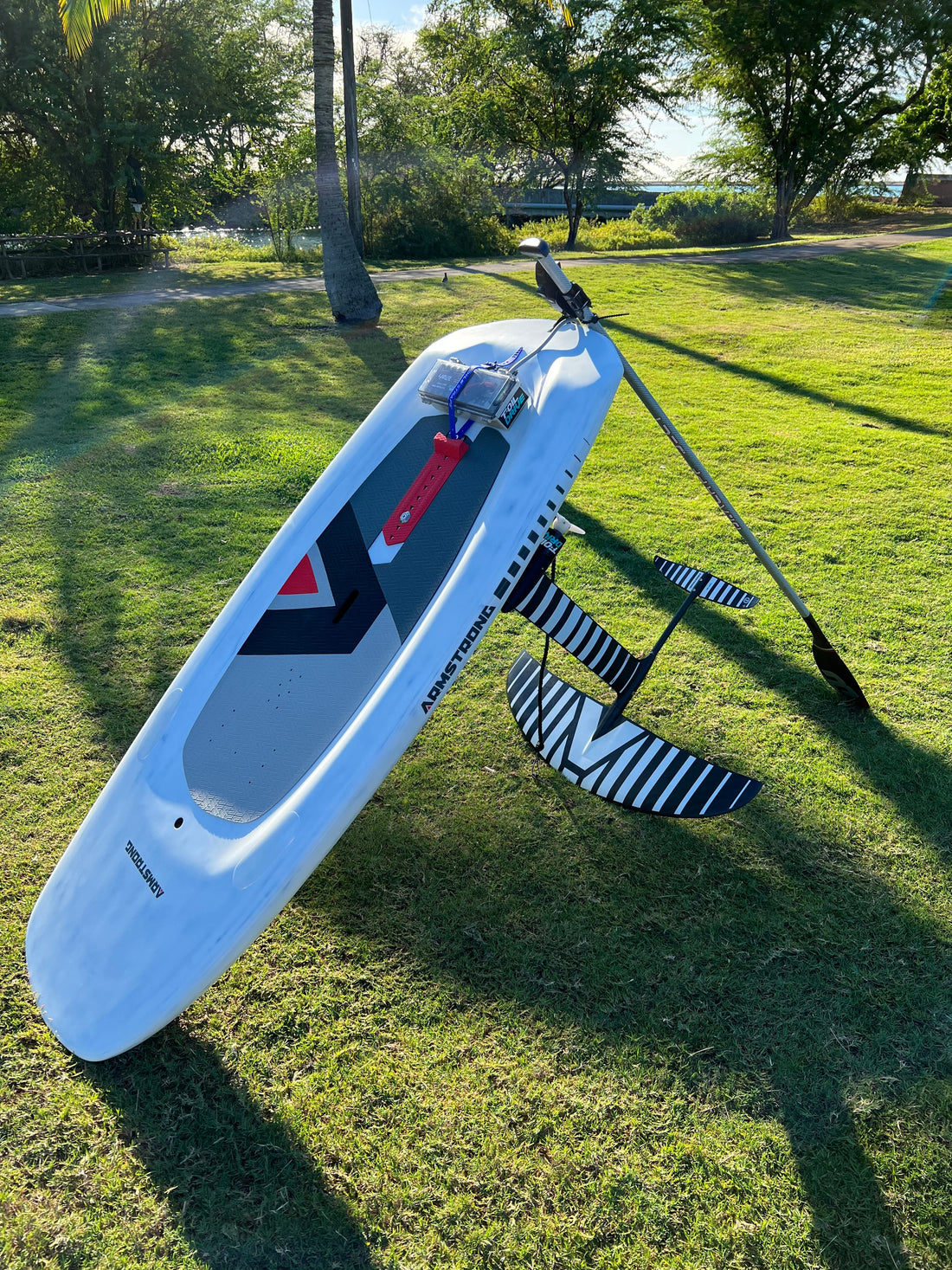 Winging with Foil Drive Assist